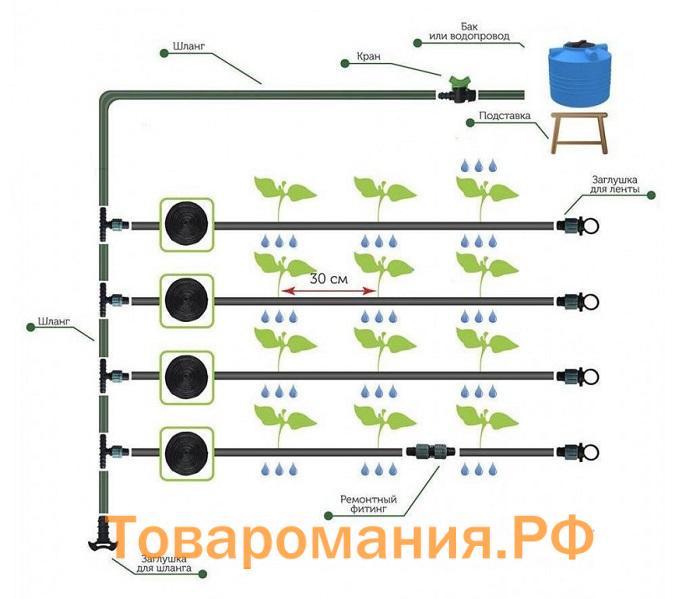 система капельного полива синьор помидор