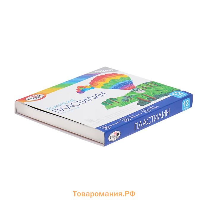 Пластилин 12 цветов 240 г, "Гамма" "Классический", со стеком