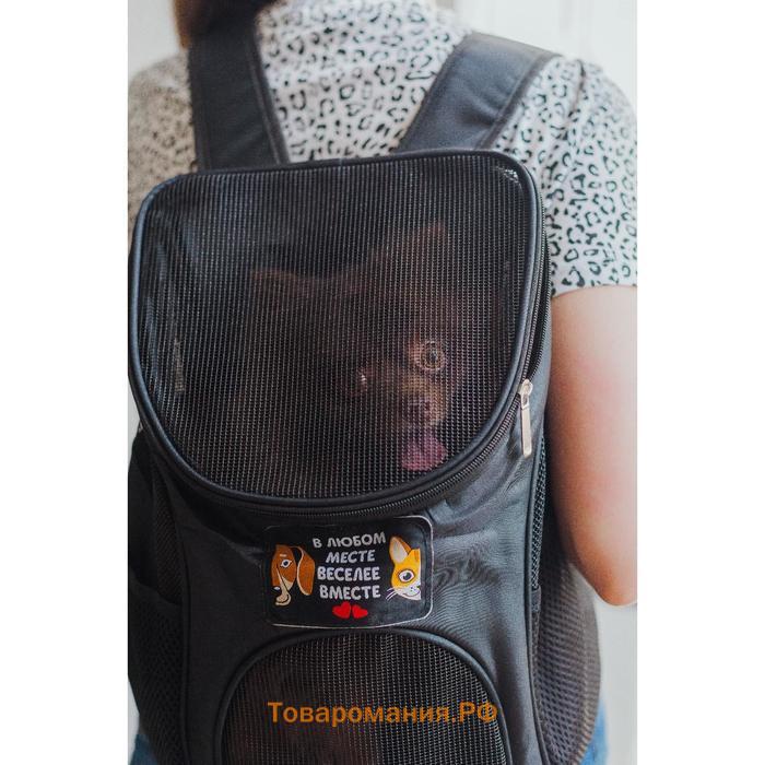 Рюкзак для переноски животных «В любом месте - веселее вместе» 31х23х30 см