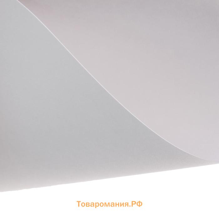 Бумага для работ гуашью А5, 10 листов "Русское поле", 235 г/м², в папке
