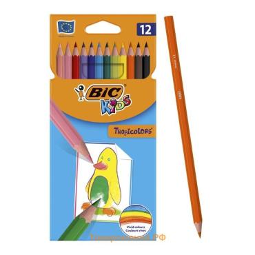 Карандаши 12 цветов, детские, шестигранные, BIC Kids Tropicolors, пластиковые, ударопрочный грифель 3.2мм, картонная упаковка