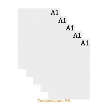 Набор ватманов чертёжных А1, 200 г/м², 5 листов